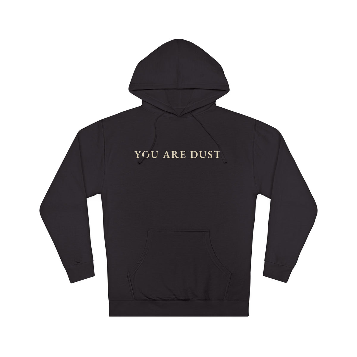 You Are Dust Premium Hoodie | Animus